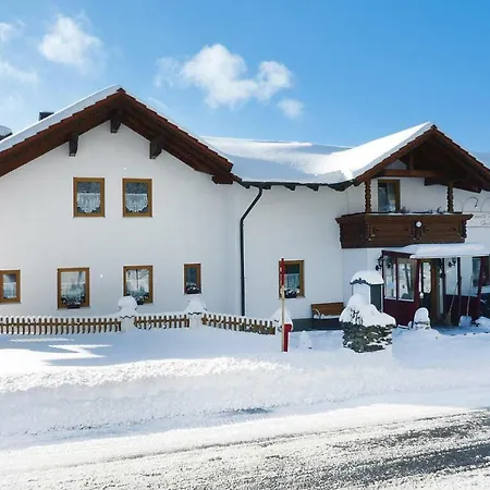 Appartamento Haus Hertlein St- Englmar - Dmg04514-dyc *